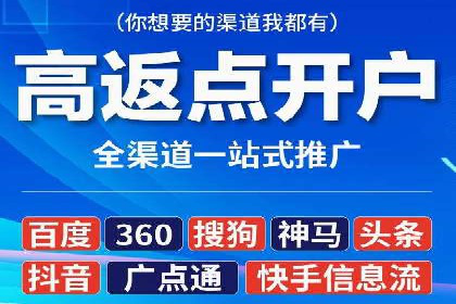 搜索引擎优化（SEO）与竞价广告（SEM）的对比案例